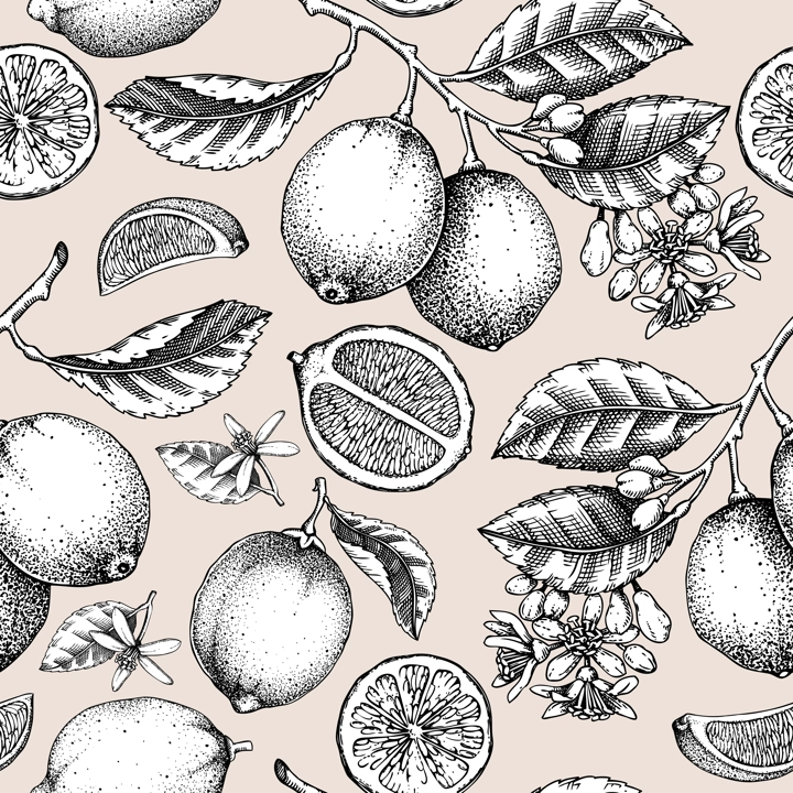 Lime fruit seamless pattern. Citrus fruit sketches. Botanical background. Exotic plants texture. Hand drawn vector illustration. NOT AI generated